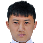 振凤头像