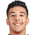 穆罕默德·瓦埃尔·德尔巴利头像