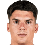 马蒂亚斯·洪萨克头像