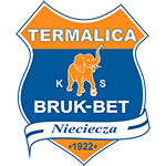 涅捷查队徽